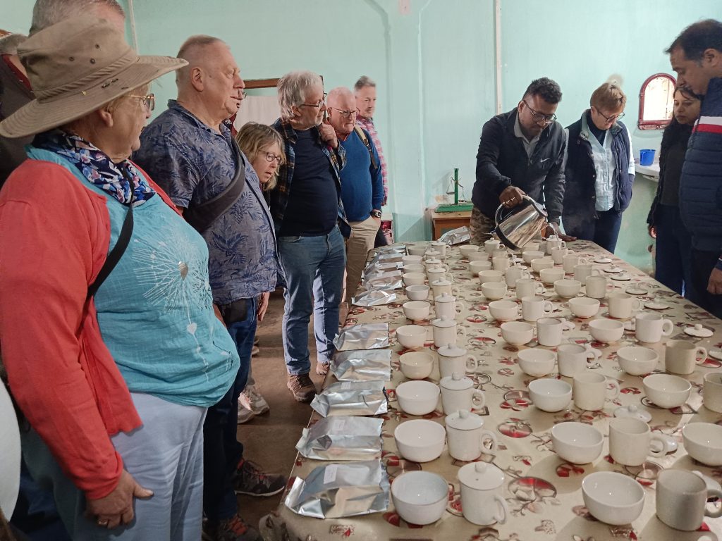 TEA TOURISM 1
