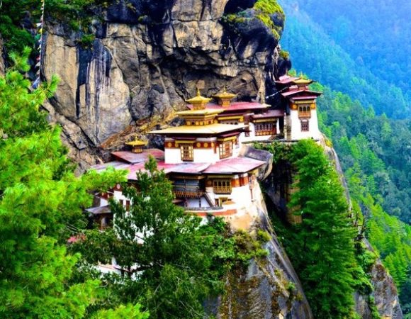 Paro