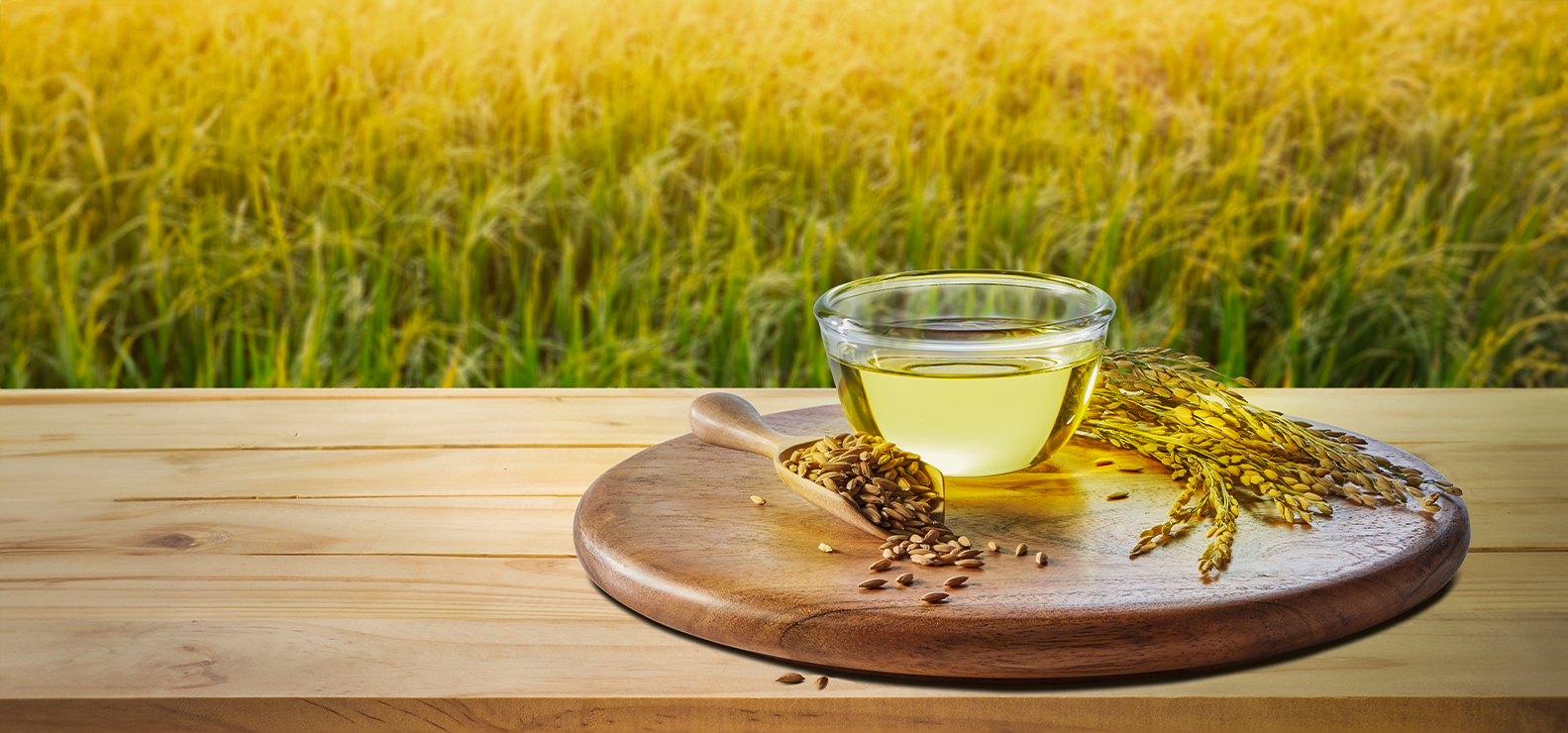 guitar player at concert