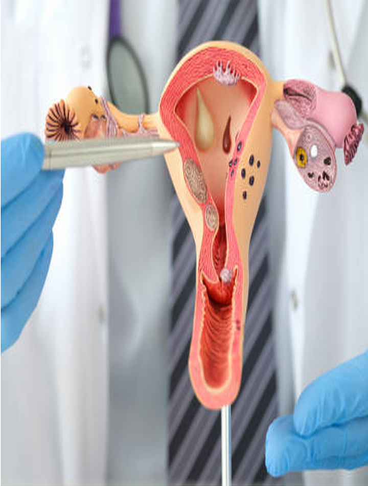 Gynecology Specialist