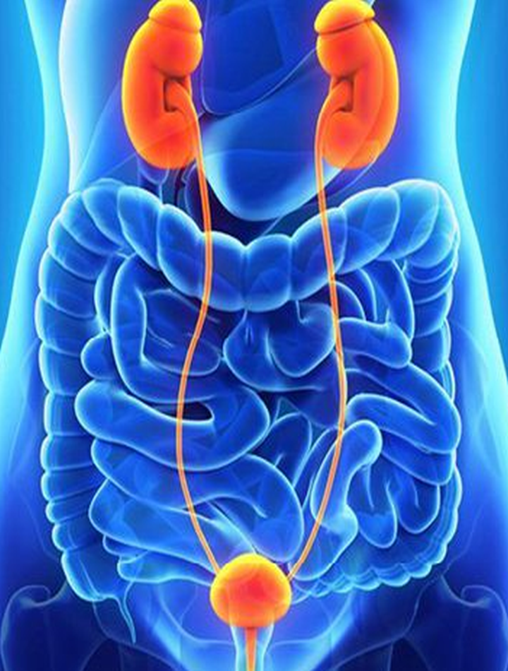 Oncology Specialist